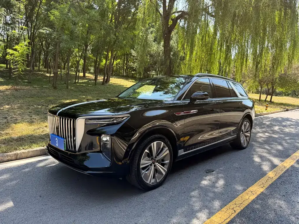 2021 Hongqi E-HS9 460km