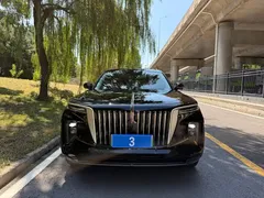 2021 Hongqi E-HS9 460km, чёрный — фото 2