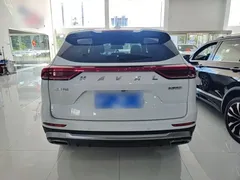 2021 Haval H6 1.5T AT Champion, белый — фото 6