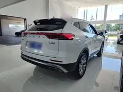2021 Haval H6 1.5T AT Champion, белый — фото 7