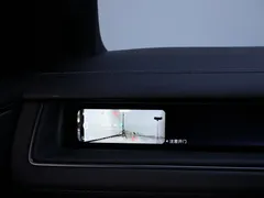 2026 Nio ES8 6-seat Executive Signature — фото 29
