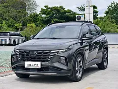 2021 Hyundai Tucson L 1.5T DCT LUX Premium — фото 1