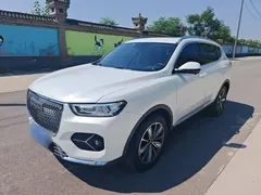 2021 Haval H6 1.5GDIT AT Champion, белый — фото 1