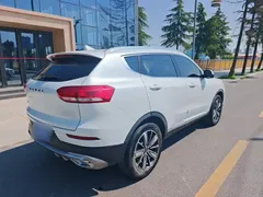 2021 Haval H6 1.5GDIT AT Champion, белый — фото 11