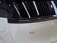 2025 Zeekr Mix Smart Driving, синий — фото 9