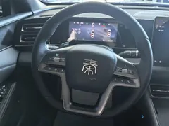 2025 BYD Qin L DM-i 120KM — фото 13