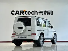 2022 Mercedes-Benz G-Class G 350, белый — фото 17
