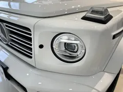 2022 Mercedes-Benz G-Class G 350, белый — фото 20