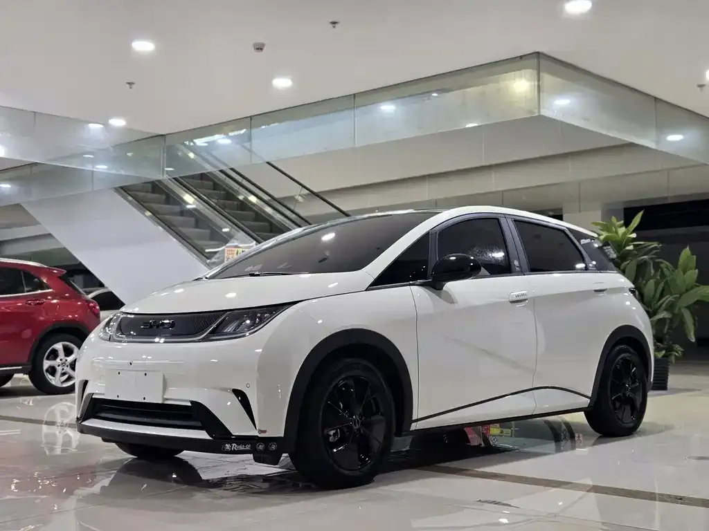 2023 BYD 420km
