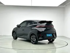 2025 BYD Seagull Smart Driving 305km Freedom, чёрный — фото 4