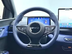 2025 BYD Seagull Smart Driving 305km Freedom, чёрный — фото 17