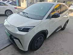 2025 BYD Seagull 305km Vitality, белый — фото 1