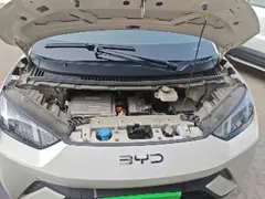 2025 BYD Seagull 305km Vitality, белый — фото 16