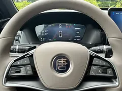 2025 BYD Tang DM-i 115KM — фото 8