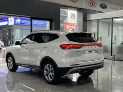 2021 Haval H6 1.5T AT, белый — фото 14