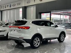 2021 Haval H6 1.5T AT, белый — фото 16