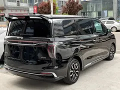 2023 Hongqi HQ9 2.0T, чёрный — фото 4