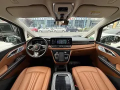 2023 Hongqi HQ9 2.0T, чёрный — фото 11