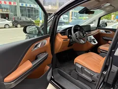 2023 Hongqi HQ9 2.0T, чёрный — фото 18