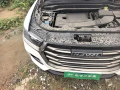 2021 Haval H6 1.5T AT Champion, белый — фото 19
