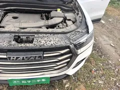 2021 Haval H6 1.5T AT Champion, белый — фото 20