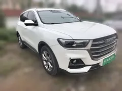 2021 Haval H6 1.5T AT Champion, белый — фото 24