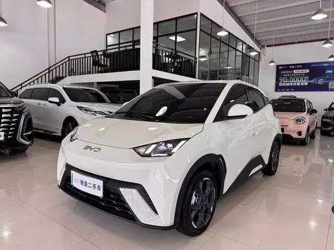 2025 BYD Seagull 305km