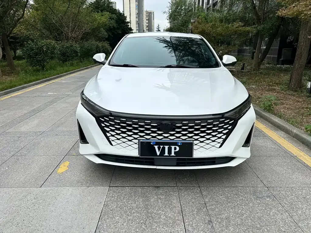 2023 Changan Raeton PLUS 1.5T DCT Luxury