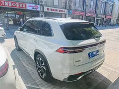 2021 Geely Monjaro 2.0TD High Power AT 4WD Flagship, белый — фото 6
