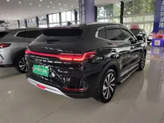 2024 BYD Song PLUS Honor DM-i PHEV 110km Flagship, чёрный — фото 5