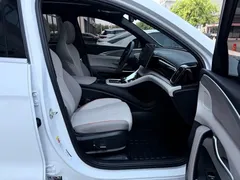 2023 BYD Song Pro 110KM, белый — фото 27