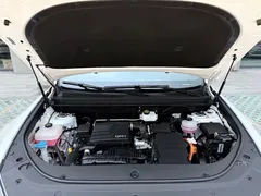 2023 BYD Song Pro 110KM, белый — фото 29