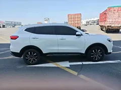 2023 Haval H6 1.5T AT, белый — фото 6
