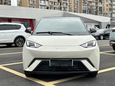 2025 BYD Seagull 305km Freedom