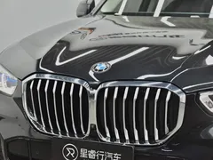 2022 BMW X5 30Li M, чёрный — фото 28