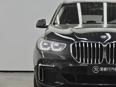2022 BMW X5 30Li M, чёрный — фото 29