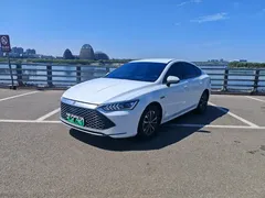 2024 BYD Qin PLUS 55KM, белый — фото 1