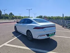 2024 BYD Qin PLUS 55KM, белый — фото 7