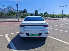 2024 BYD Qin PLUS 55KM, белый — фото 8