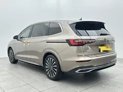 2020 Volkswagen Viloran 380TSI Flagship — фото 4
