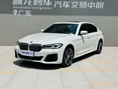 2022 BMW 5 Series 5 530Li xDrive M, белый — фото 15