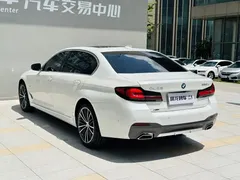 2022 BMW 5 Series 5 530Li xDrive M, белый — фото 16