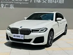 2022 BMW 5 Series 5 530Li xDrive M, белый — фото 18