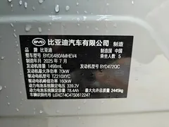 2025 BYD Sealion 06 DM-i 205 Plus — фото 22