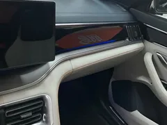 2021 BYD PLUS DM-i 51KM — фото 10