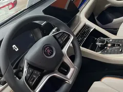 2021 BYD PLUS DM-i 51KM — фото 11