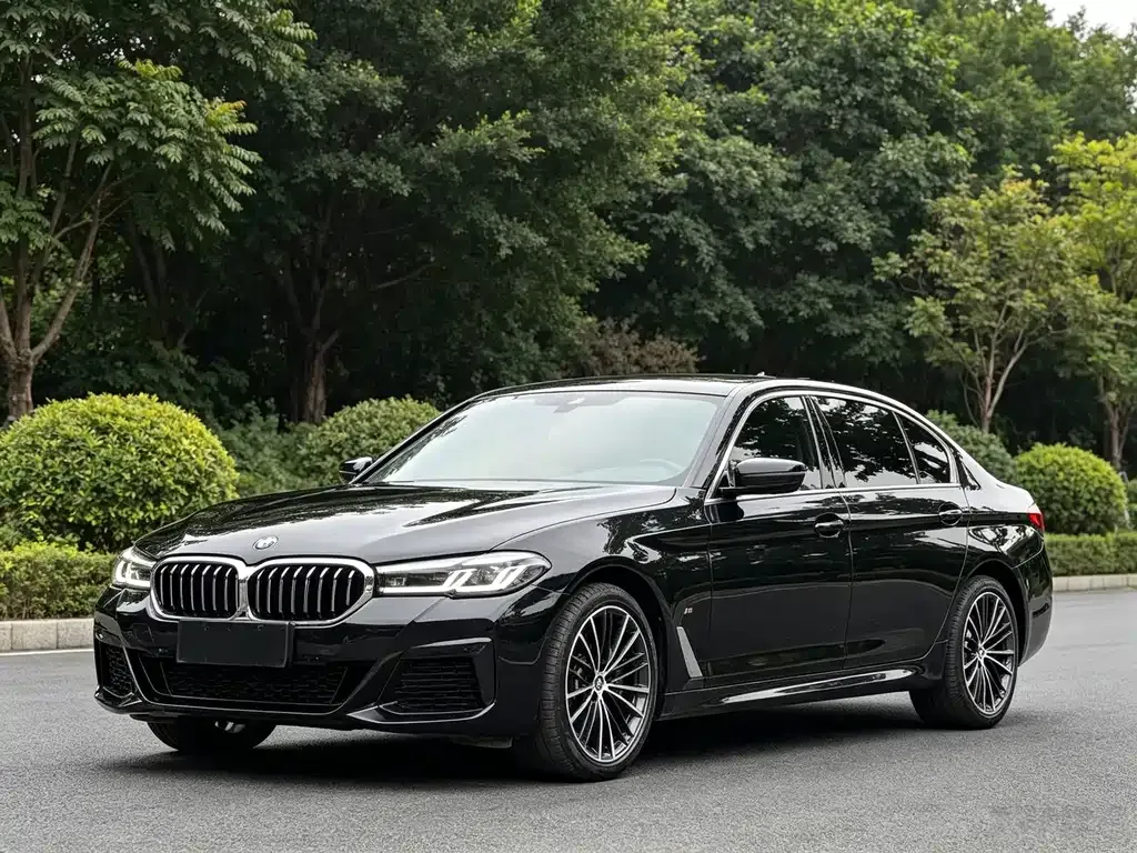 2022 BMW 5 Series 5 530Li M