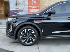 2024 Hongqi HS7 2.0T PHEV 4WD 7, чёрный — фото 2