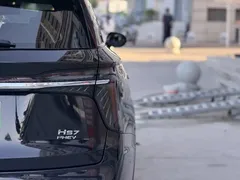 2024 Hongqi HS7 2.0T PHEV 4WD 7, чёрный — фото 10