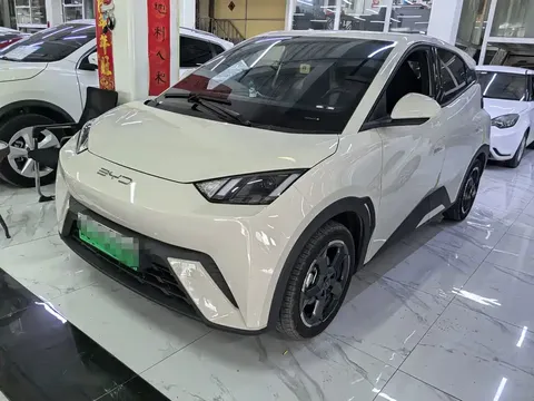 2024 BYD Seagull 305km